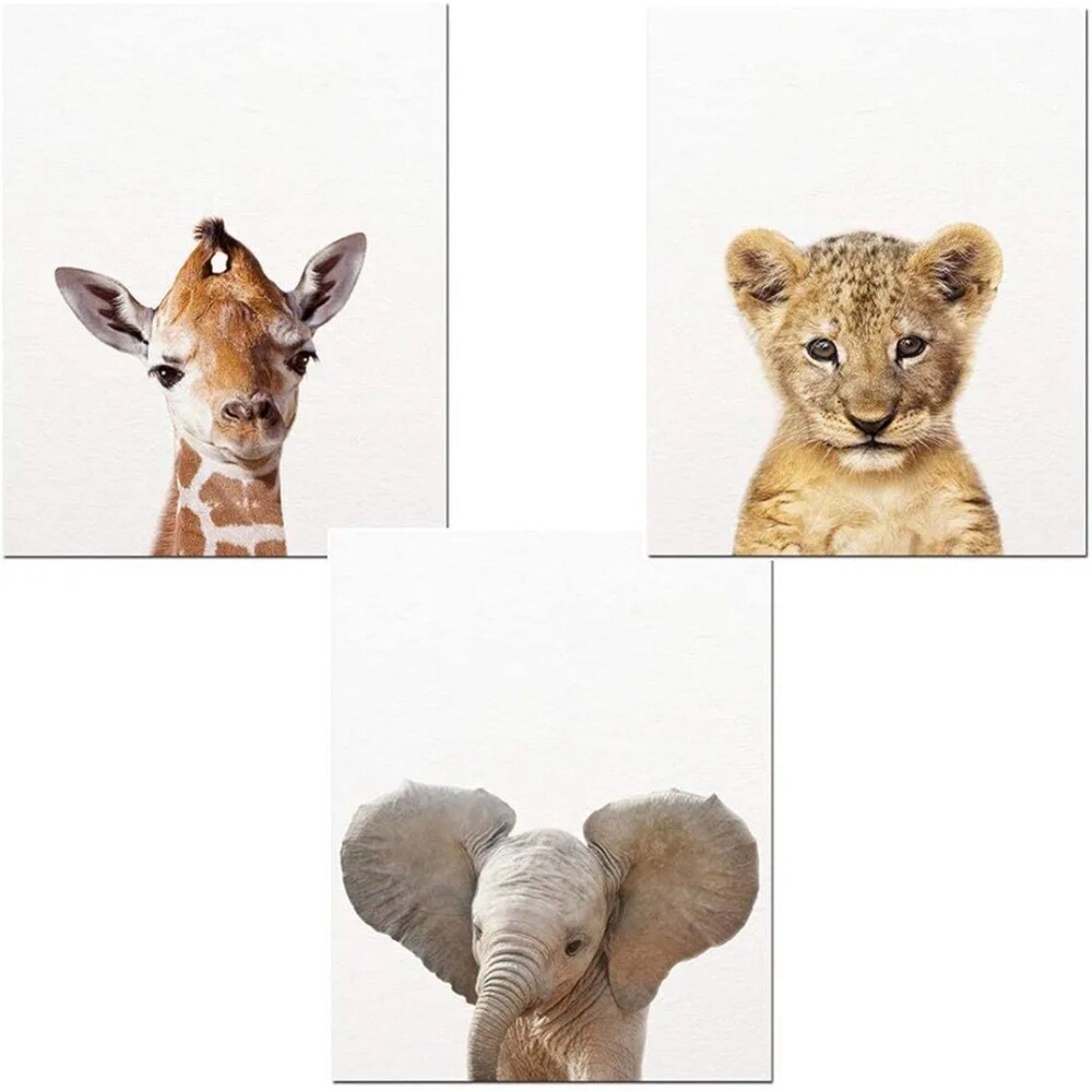 Safari Baby Animal Canvas Prints